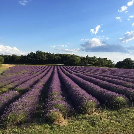 Vakantiehuis Agreable Bastide Provencale Avec Piscine Barcelonne (Drome)